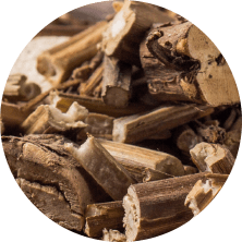 Slippery elm root